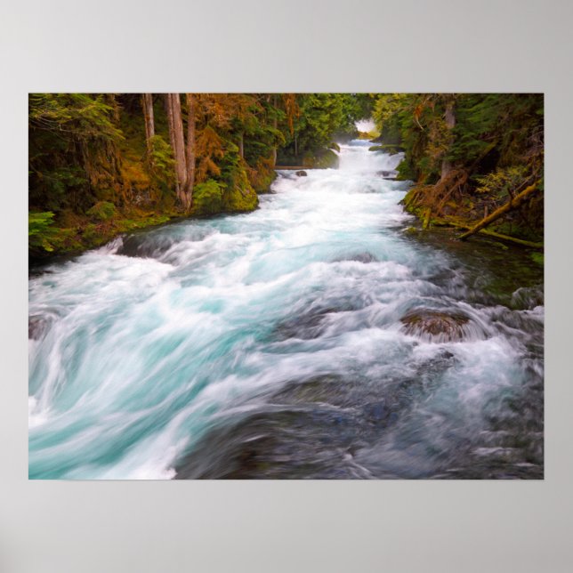Affiche Rivière McKenzie | Oregon (Devant)