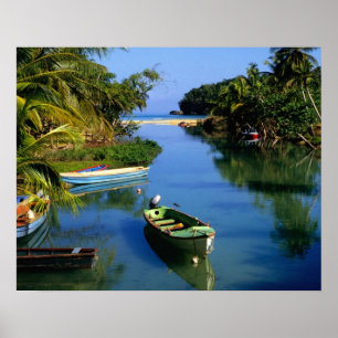Affiche Rivière panoramique près d'Ocho Rios en Jamaïque