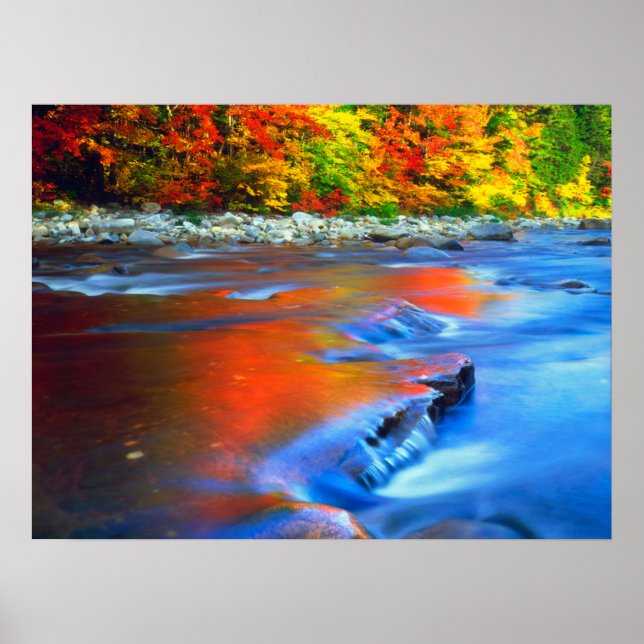 Affiche Rivière Swift reflétant les couleurs d'automne (Devant)