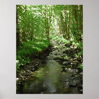 Affiche Rivière traversant les bois.