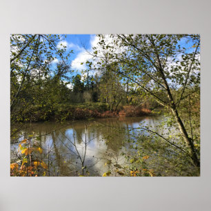 Affiche Rivière Tualatin, Oregon