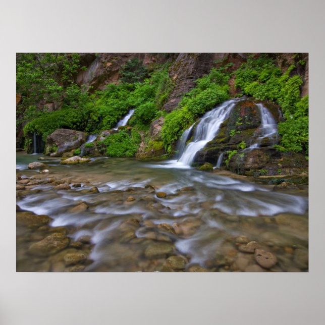 Affiche Rivière Vierge Big Springs | Parc national de Zion (Devant)