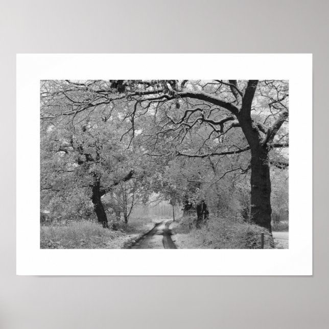 Affiche Road en hiver : Cheshire, Angleterre (Devant)