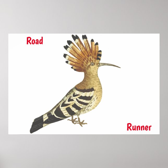 Affiche Road Runner (Devant)