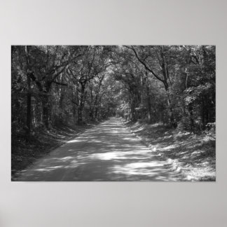 Affiche Road to No Where