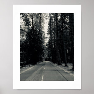 Affiche Roadside Wilds Photographie noir et blanc