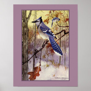 Affiche Robert Bruce Horsfall Blue Jay Faux Matte