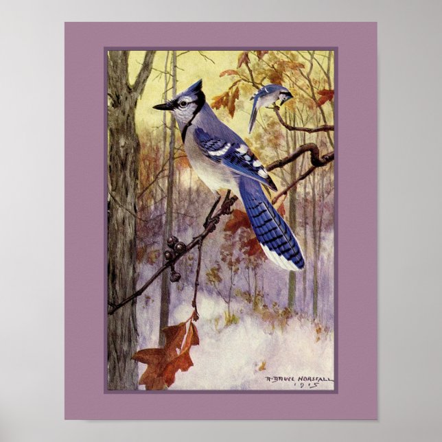 Affiche Robert Bruce Horsfall Blue Jay Faux Matte (Devant)