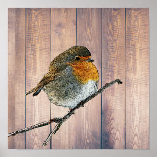 Affiche Robin abstrait moderne sur bois de grange rustique