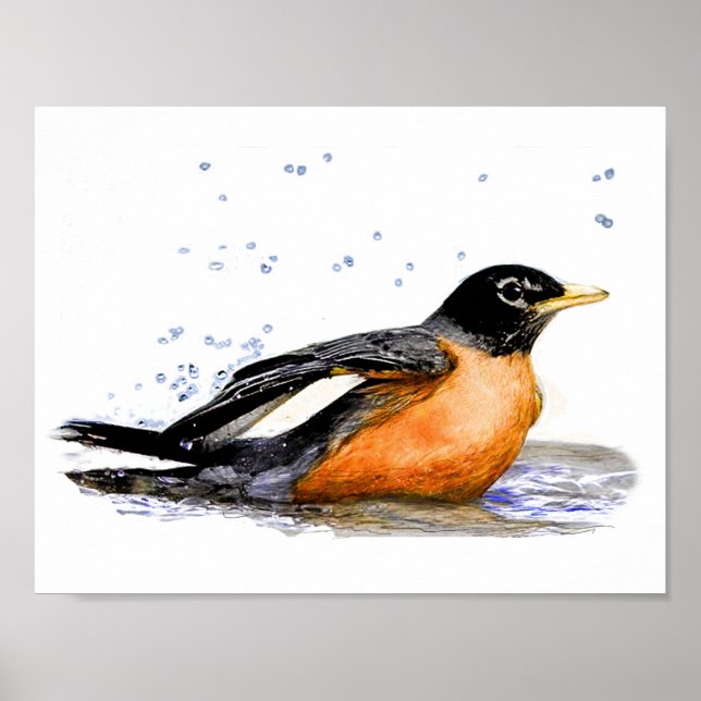 Affiche Robin Baigning (Devant)