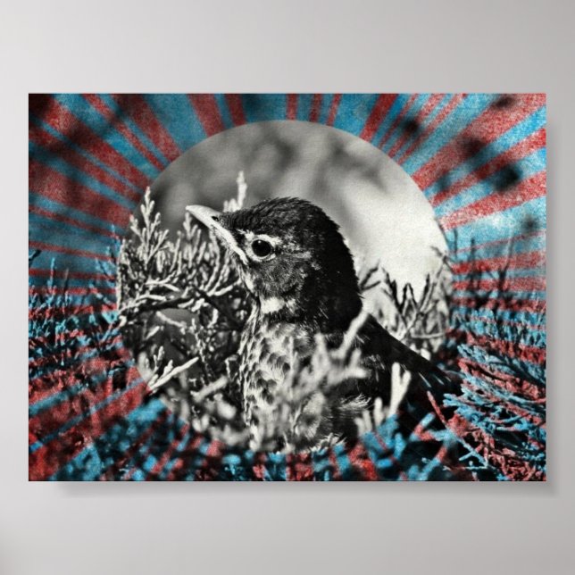 Affiche Robin bébé (Devant)