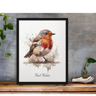 Affiche Robin de Jardin de charme, coutume