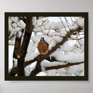 Affiche Robin en noir