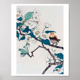 Affiche Robin et fleurs de cerisiers, Imao Keinen