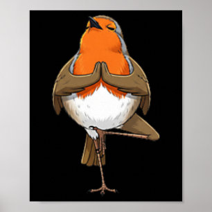 Affiche Robin fait une pose de yoga Méditation Drôle d'ois
