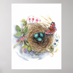 Affiche Robin Nest