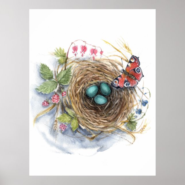 Affiche Robin Nest (Devant)