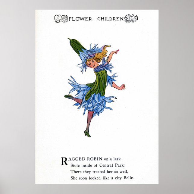 Affiche Robin Ragged (Devant)