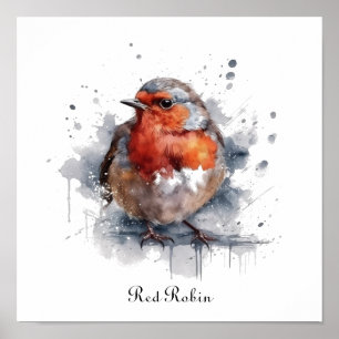 Affiche Robin Serein, personnalisé