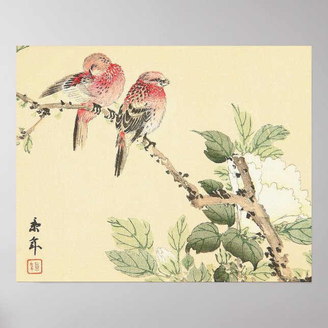 Affiche Robins et Peony japon fleurs vintages art (Devant)