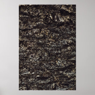 Affiche Roche Brown