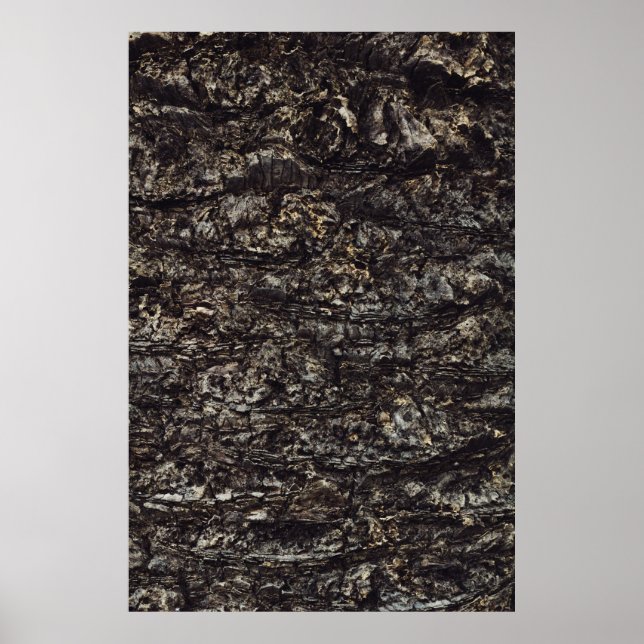 Affiche Roche Brown (Devant)