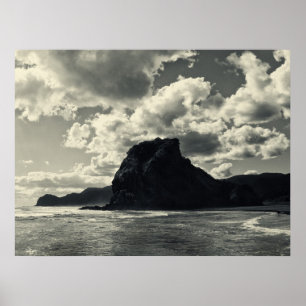 Affiche roche de lion au piha, redux