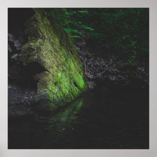 Affiche Roche mousse verte avec réflexion dans l'eau