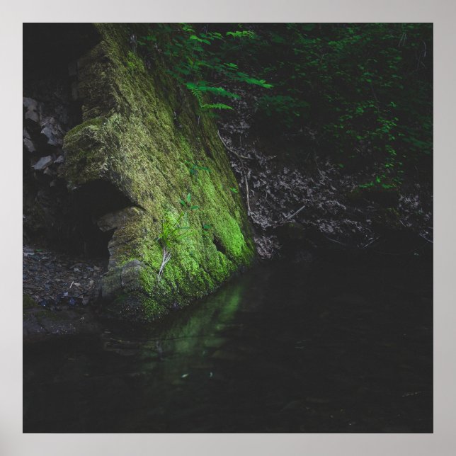 Affiche Roche mousse verte avec réflexion dans l'eau (Devant)