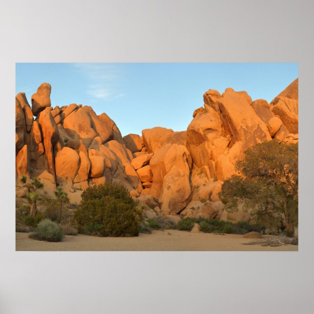 Affiche Rochers au coucher du soleil à Joshua Tree (Devant)