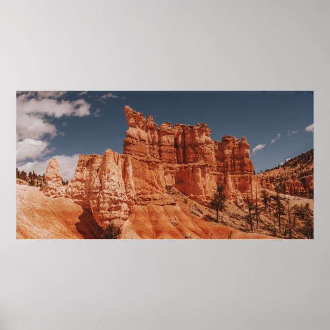 AFFICHE ROCHERS BROWN (Devant)