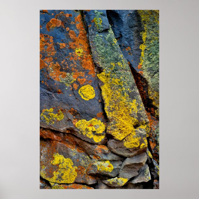 Affiche Rochers couverts de lichen (Devant)