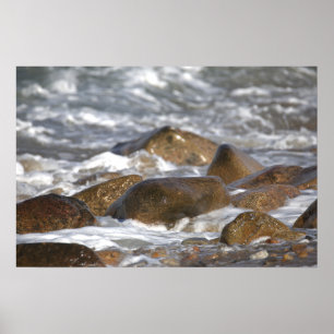 Affiche Rochers et Vagues dans le Rhode Island