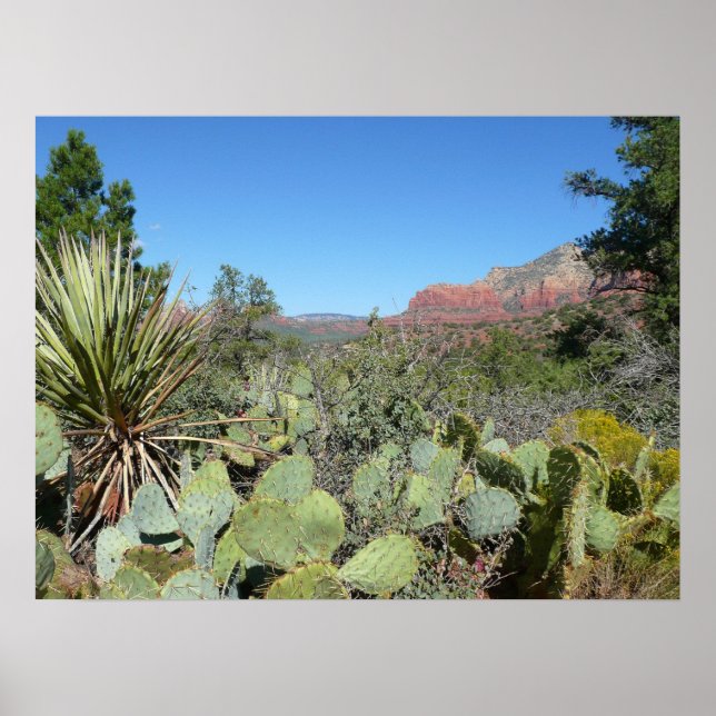 Affiche Rochers rouges et cactus I (Devant)