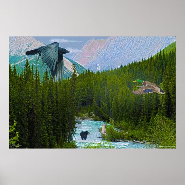 Affiche Rocky Mountain Magic Wilderness & Wildlife Art (Devant)