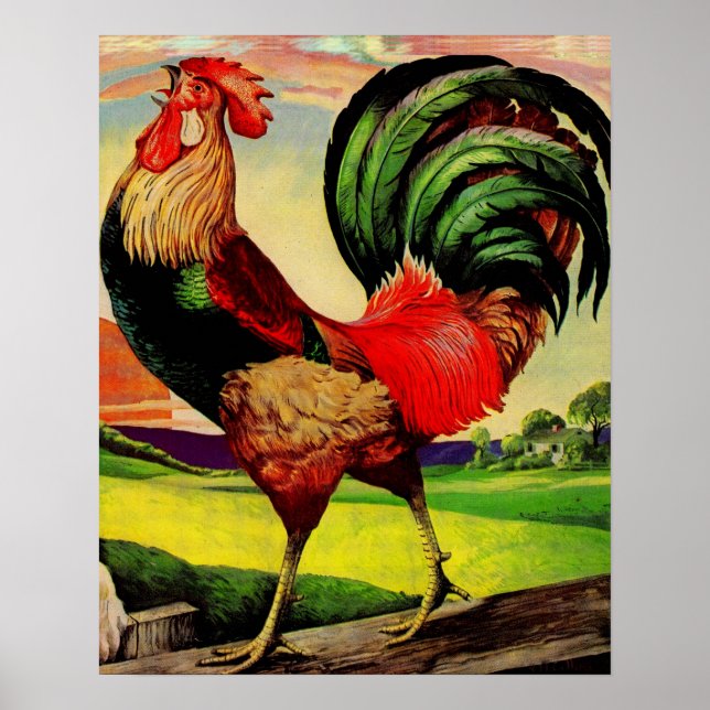 Affiche Rocky the Handsome Rooster (Devant)