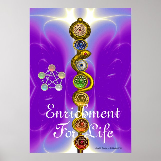 AFFICHE RODE D'ASCLEPIUS 7 CHAKRAS, YOGA, ÉNERGIE SPIRITUE (Devant)