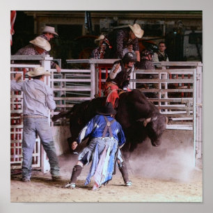 AFFICHE RODEO : BULL RIDING