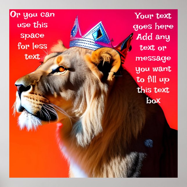 Affiche Roi de la Jungle (Devant)