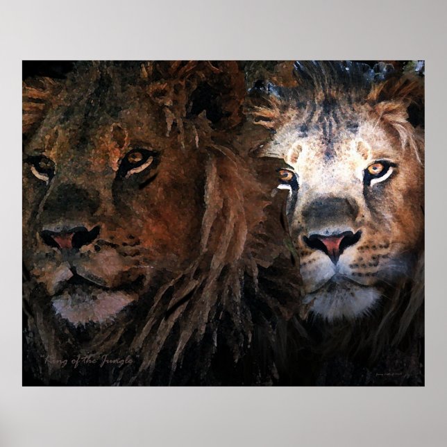 Affiche Roi de la Jungle (Devant)