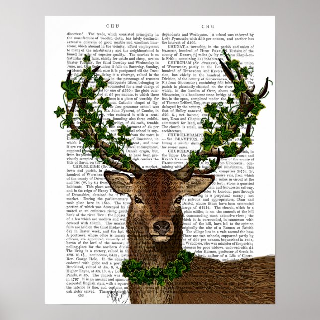 Affiche Roi vert (Devant)