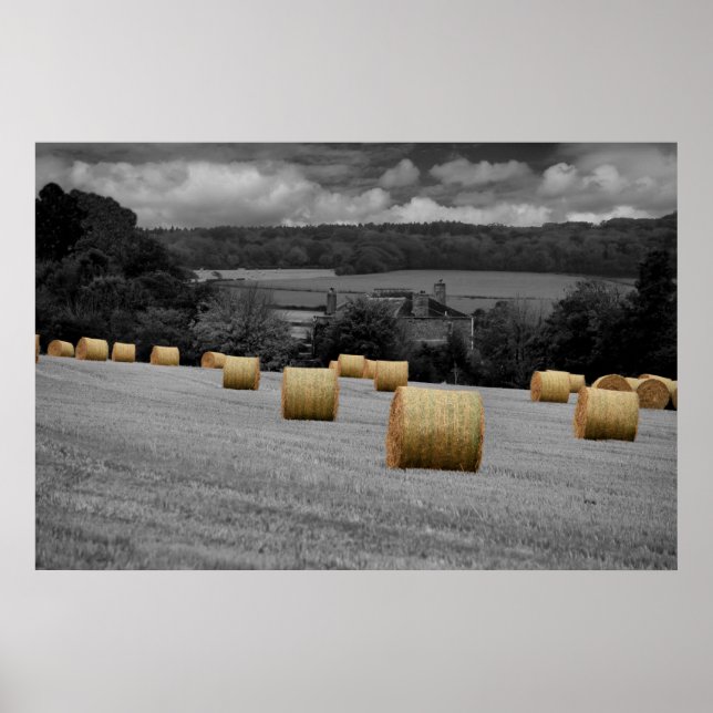 Affiche Rolling Home (Devant)