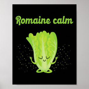Affiche Romaine sarcastique Calme Zen Yoga Gym paisible Cl