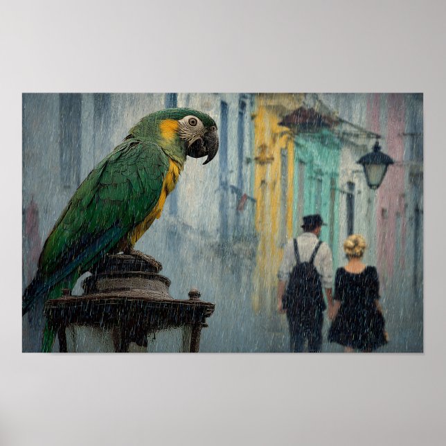 Affiche Romance pluvieux avec perroquet – Perroquet sur la (Devant)