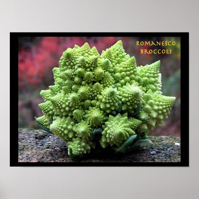 Affiche Romanesco Broccoli Légumes (Devant)