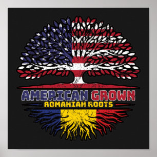 Affiche Romania Romanian US American USA United States