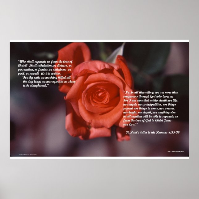 Affiche Romans 8 Rose (Devant)
