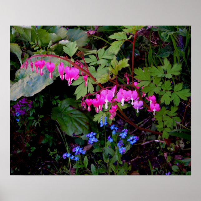 Affiche romantique à fleurs (Devant)