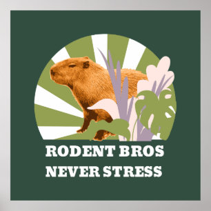 Affiche Rongeurs Frères Ne Stressez Jamais Capybara