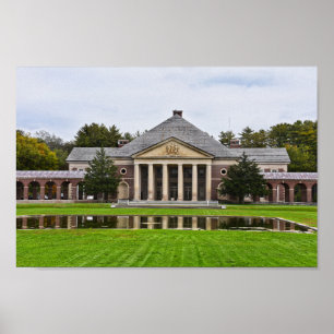 Affiche Roosevelt Baths and Spa Building, New York